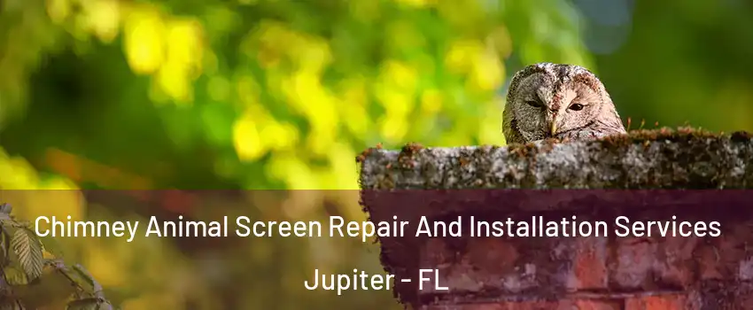  Chimney Animal Screen Repair And Installation Services Jupiter - FL