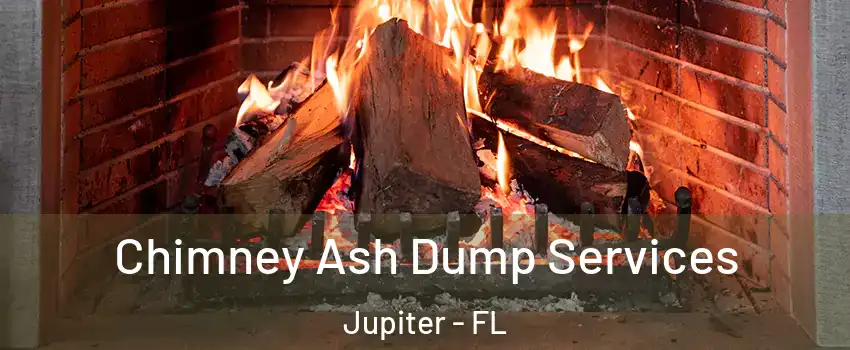  Chimney Ash Dump Services Jupiter - FL
