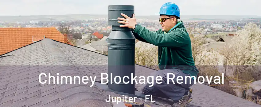  Chimney Blockage Removal Jupiter - FL