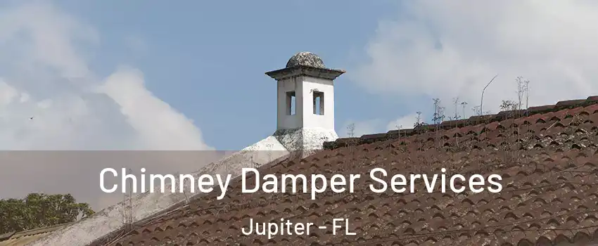  Chimney Damper Services Jupiter - FL
