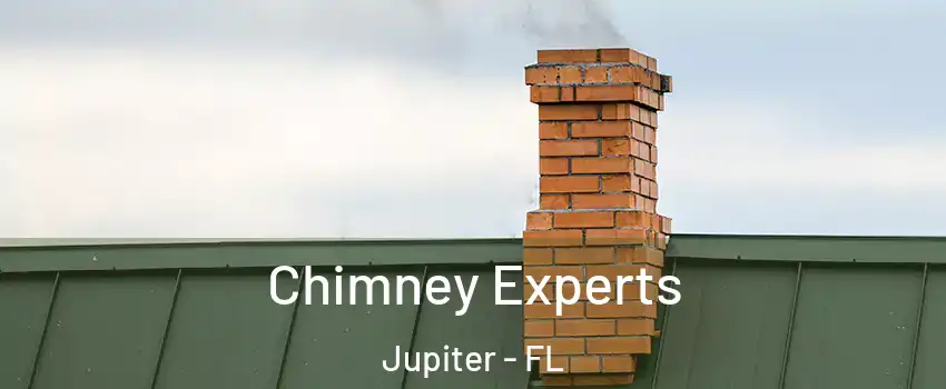 Chimney Experts Jupiter - FL