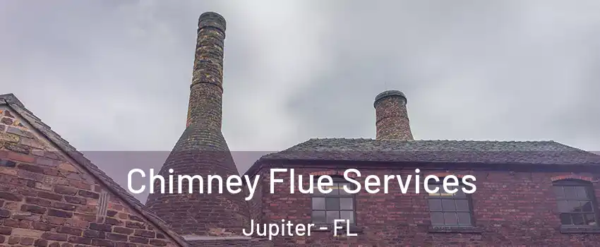  Chimney Flue Services Jupiter - FL