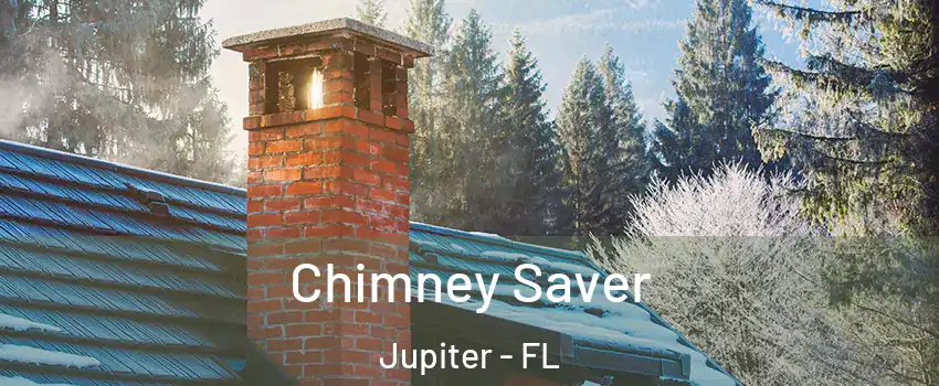  Chimney Saver Jupiter - FL