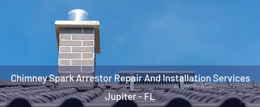  Chimney Spark Arrestor Repair And Installation Services Jupiter - FL