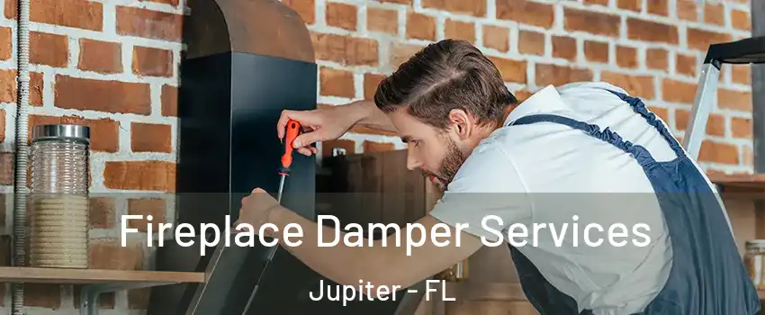  Fireplace Damper Services Jupiter - FL
