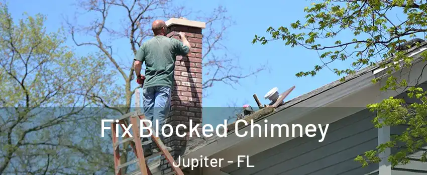  Fix Blocked Chimney Jupiter - FL