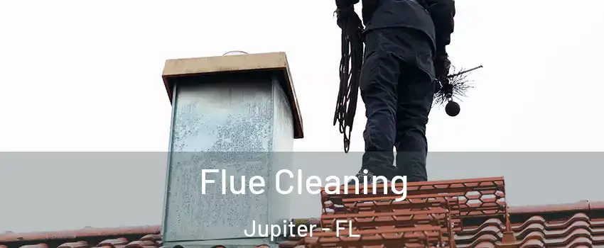  Flue Cleaning Jupiter - FL