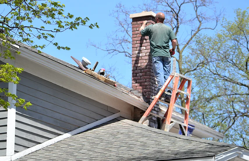 Chimney & Fireplace Inspections Services in Jupiter, FL