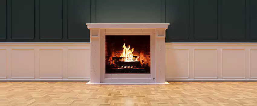 Napoleon Electric Fireplaces Inspection Service in Jupiter, Florida
