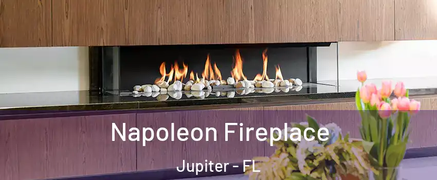  Napoleon Fireplace Jupiter - FL